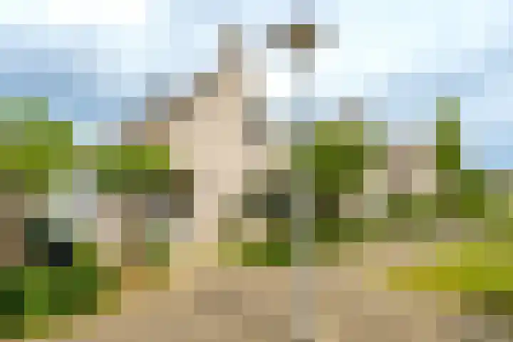 Lotusbloemweg 71 Almere thumbnail 39