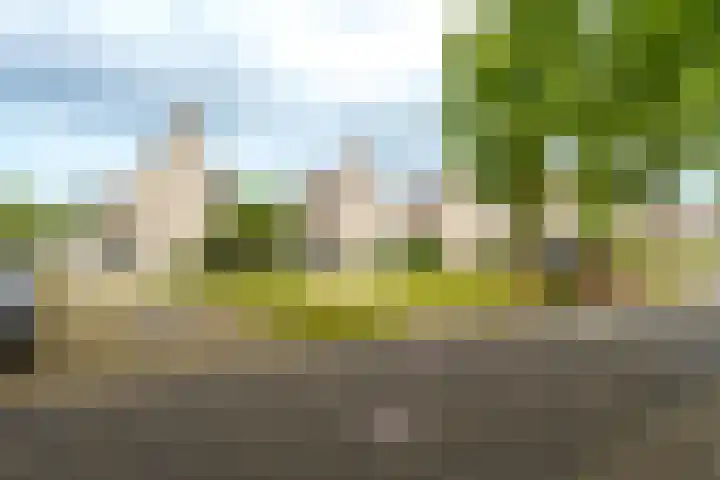 Lotusbloemweg 71 Almere thumbnail 40