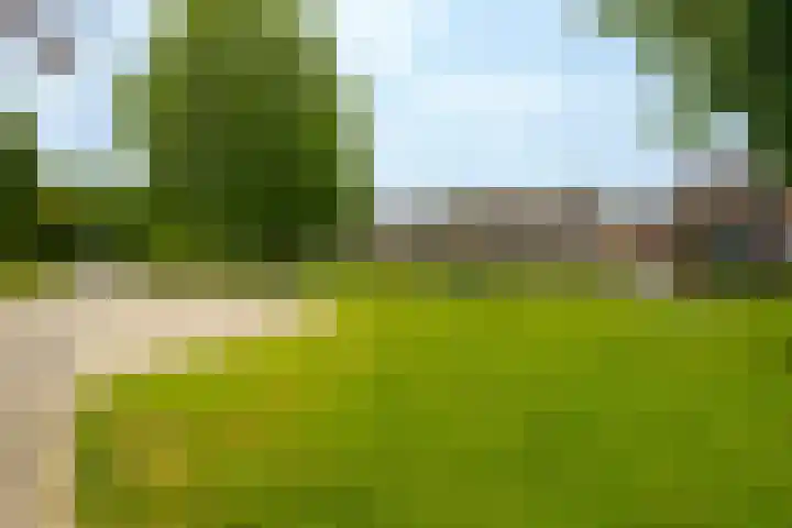 Lotusbloemweg 71 Almere thumbnail 41
