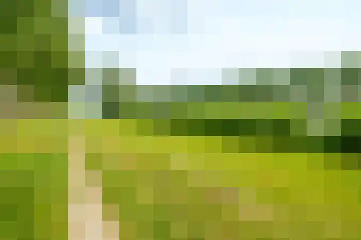 Lotusbloemweg 71 Almere thumbnail 42