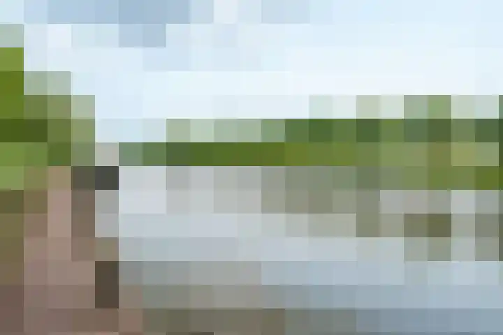 Lotusbloemweg 71 Almere thumbnail 44