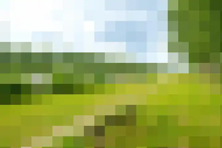 Lotusbloemweg 71 Almere thumbnail 45