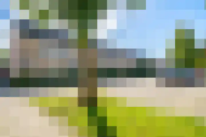 Lotusbloemweg 90 Almere thumbnail 38