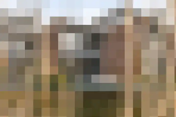 Lotusstraat 16 Purmerend thumbnail 36