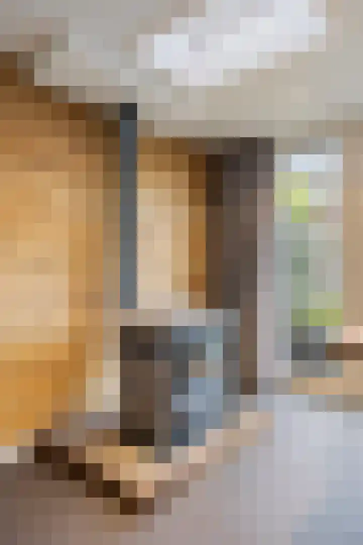 Lotusstraat 32 Asten thumbnail 14