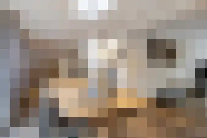 Lotusstraat 32 Asten thumbnail 15