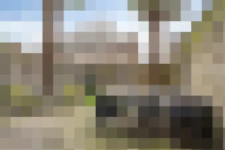 Lotusstraat 32 Asten thumbnail 30