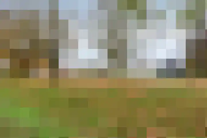 Lotusstraat 32 Asten thumbnail 32