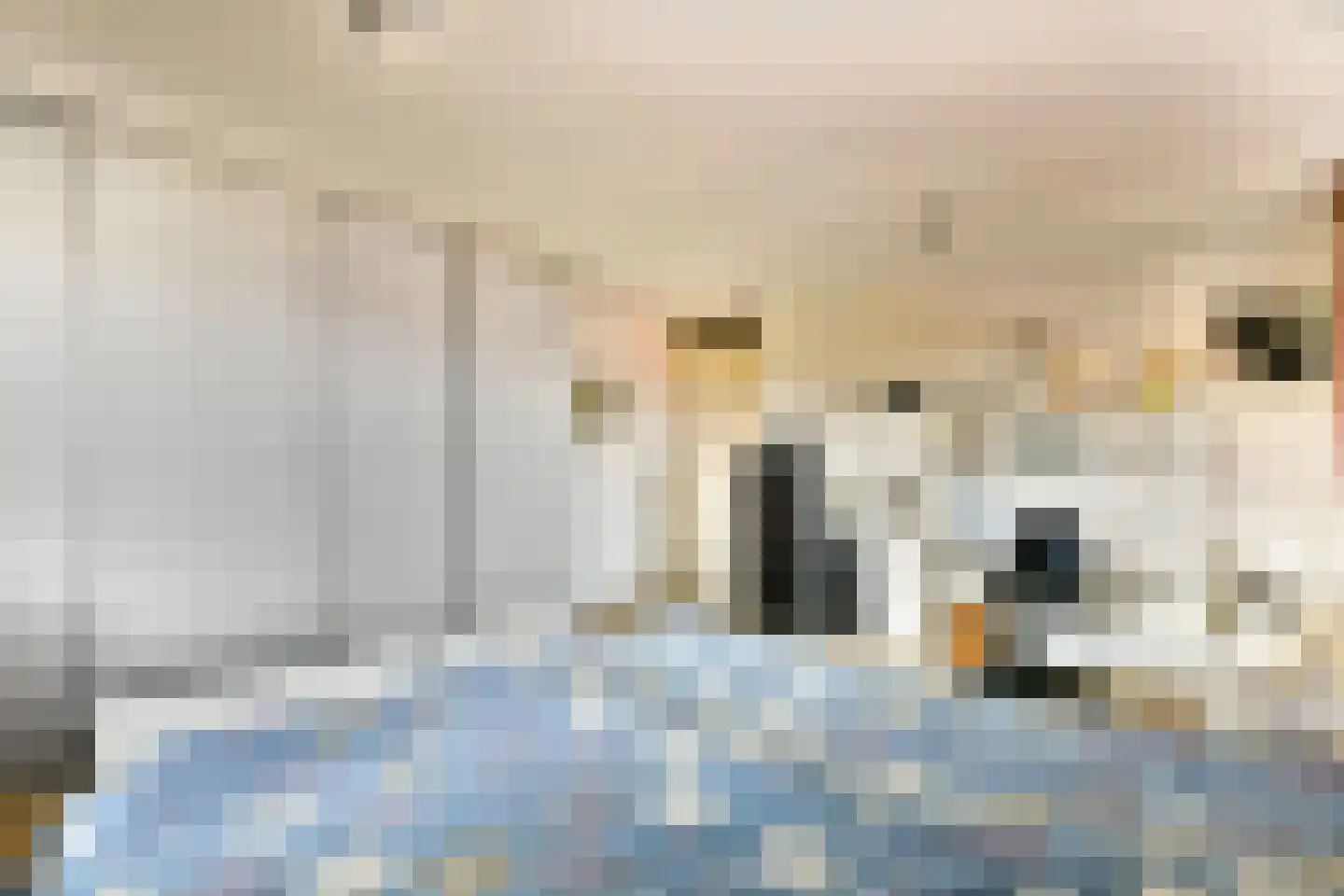 Lotusstraat 76 Purmerend thumbnail 21