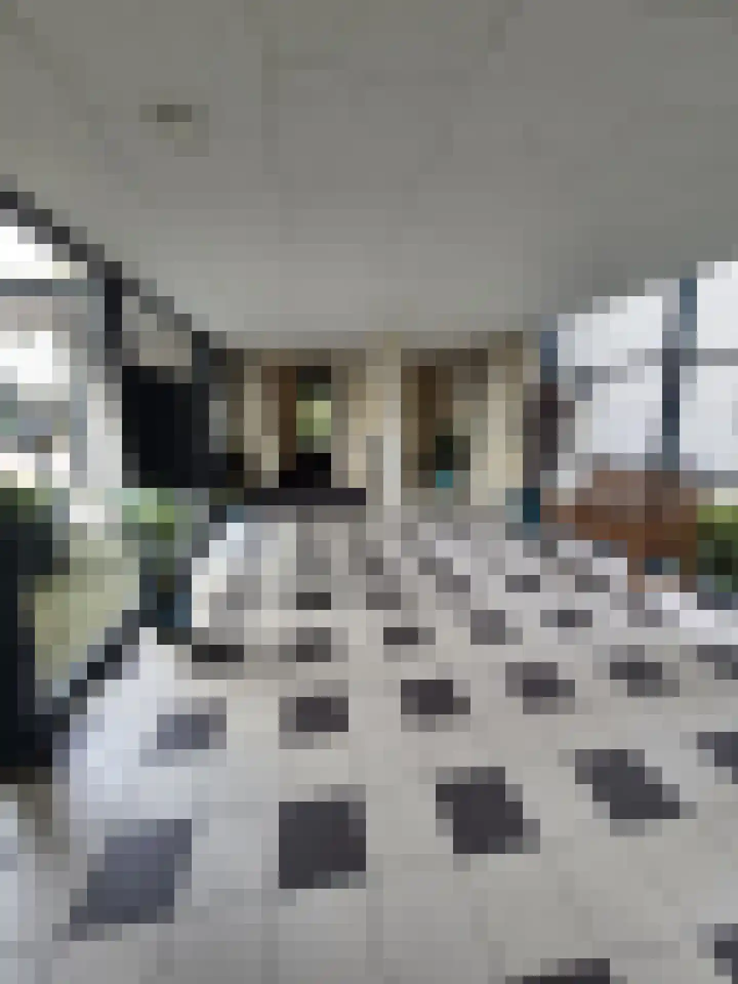 Lotusstraat 76 Purmerend thumbnail 5