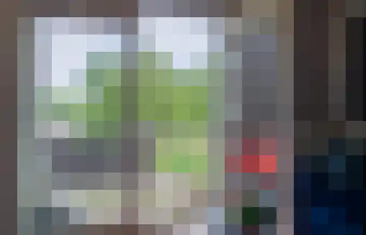 Lotustuin 45 Rotterdam thumbnail 10