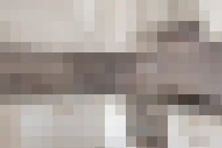 Lotustuin 45 Rotterdam thumbnail 11