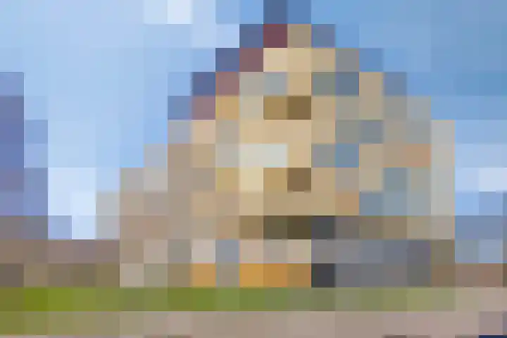 Lotustuin 45 Rotterdam foto 2