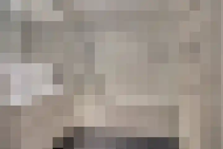 Lotustuin 45 Rotterdam thumbnail 20