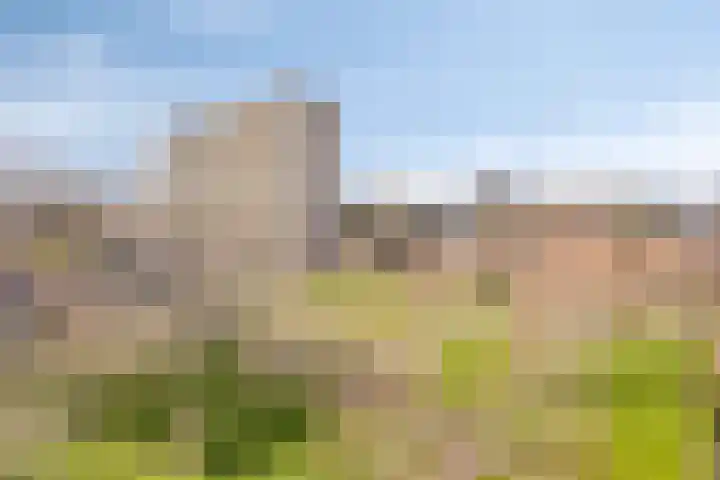 Lotustuin 45 Rotterdam thumbnail 29