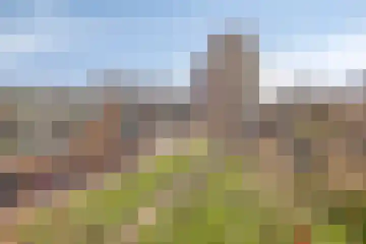 Lotustuin 45 Rotterdam thumbnail 30