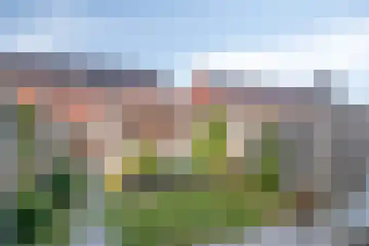Lotustuin 45 Rotterdam thumbnail 34