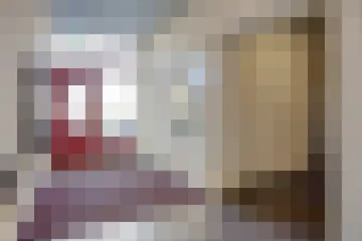 Lotustuin 45 Rotterdam thumbnail 38