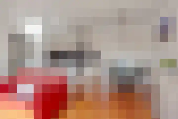 Lotustuin 45 Rotterdam thumbnail 7