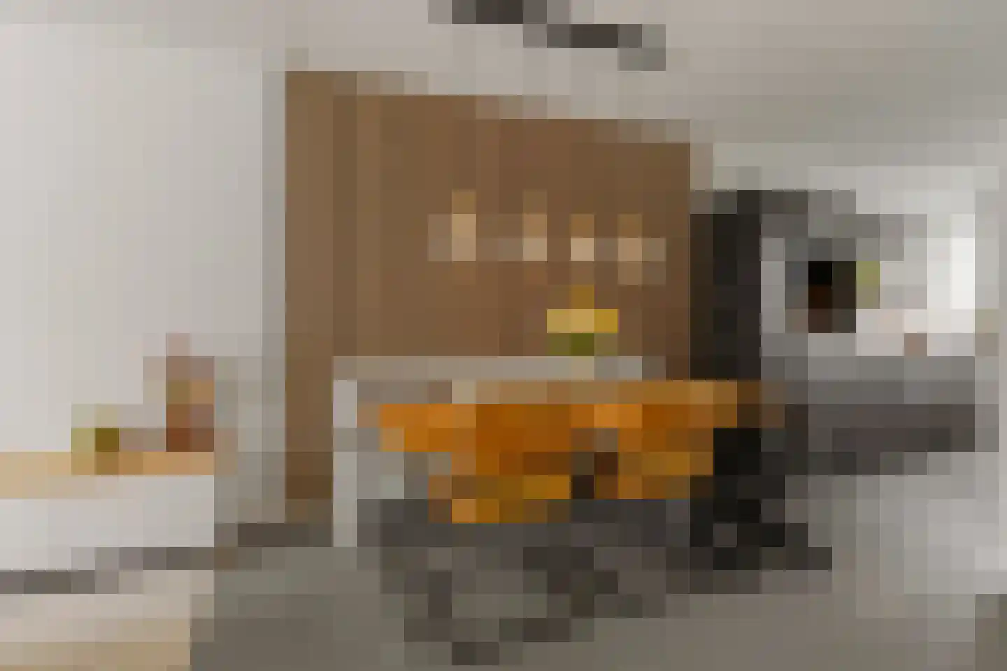 Lotusvliet 44 Utrecht thumbnail 12