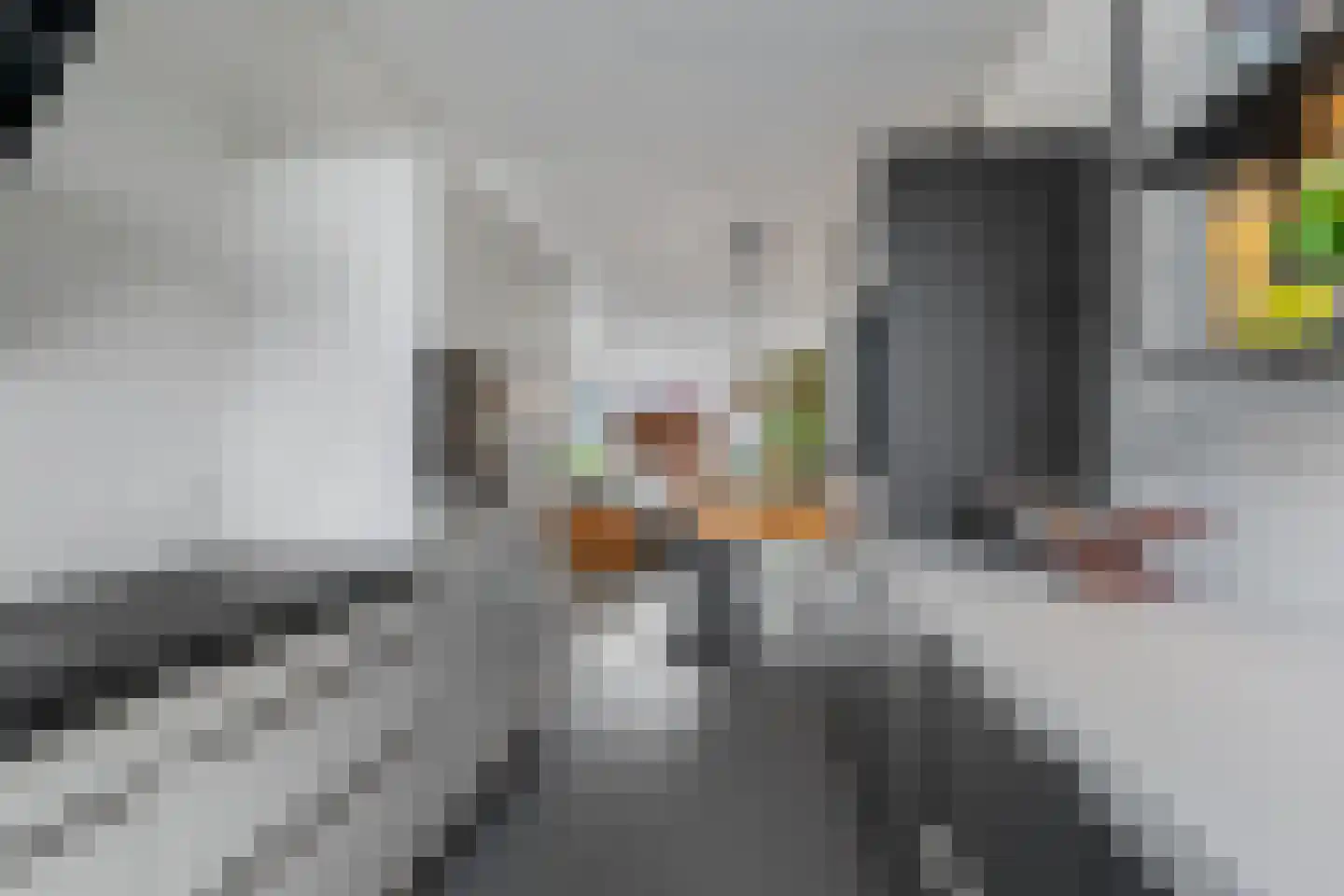 Lotusvliet 44 Utrecht thumbnail 17