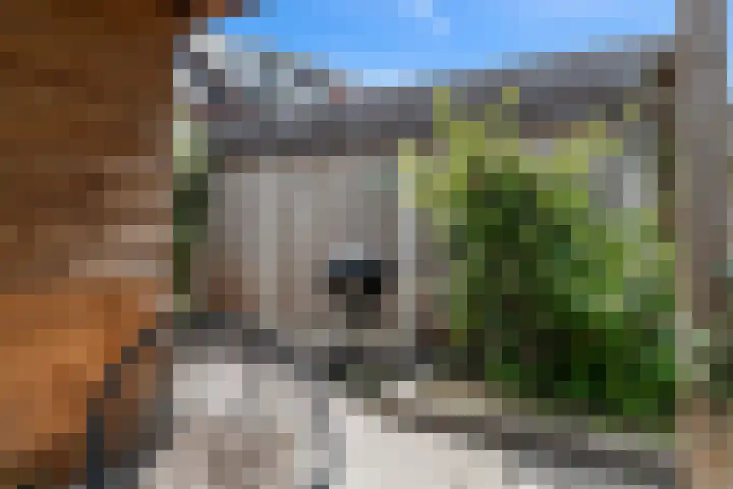 Lotusvliet 44 Utrecht thumbnail 41