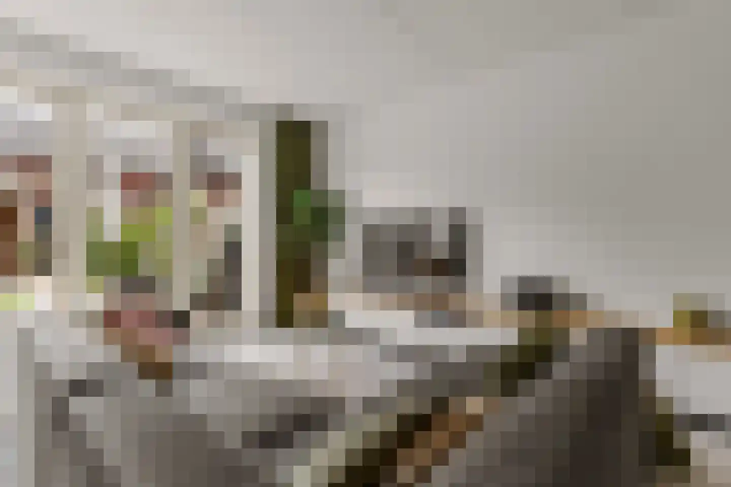 Lotusvliet 44 Utrecht thumbnail 6