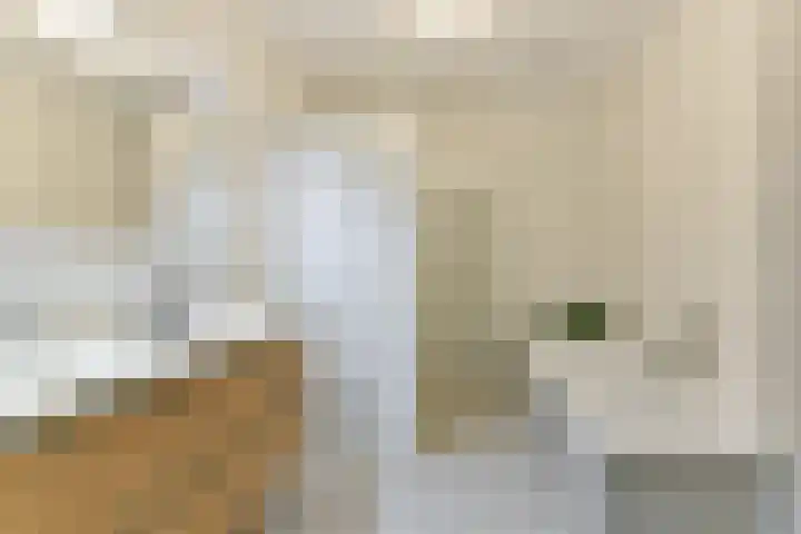 Lotusvliet 46 Utrecht thumbnail 32