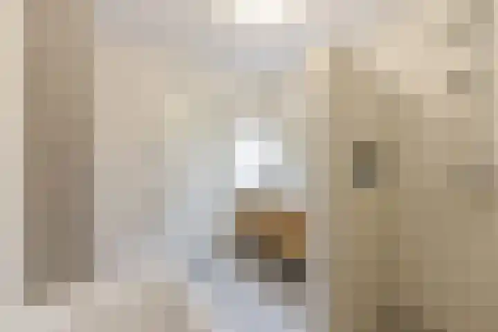 Lotusvliet 46 Utrecht thumbnail 34