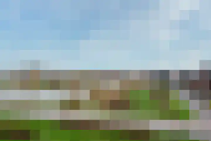 Lotusvliet 46 Utrecht thumbnail 40