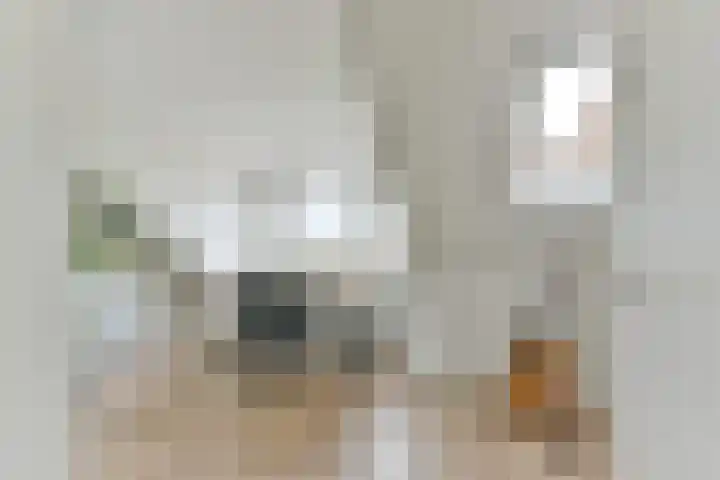 Lotusvliet 46 Utrecht thumbnail 41