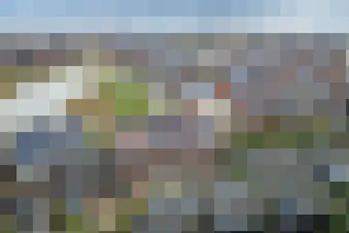 Lotusvliet 46 Utrecht thumbnail 45