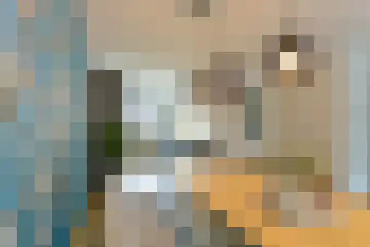 Lotusvliet 46 Utrecht thumbnail 5