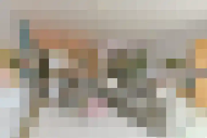 Lotusvliet 46 Utrecht thumbnail 9