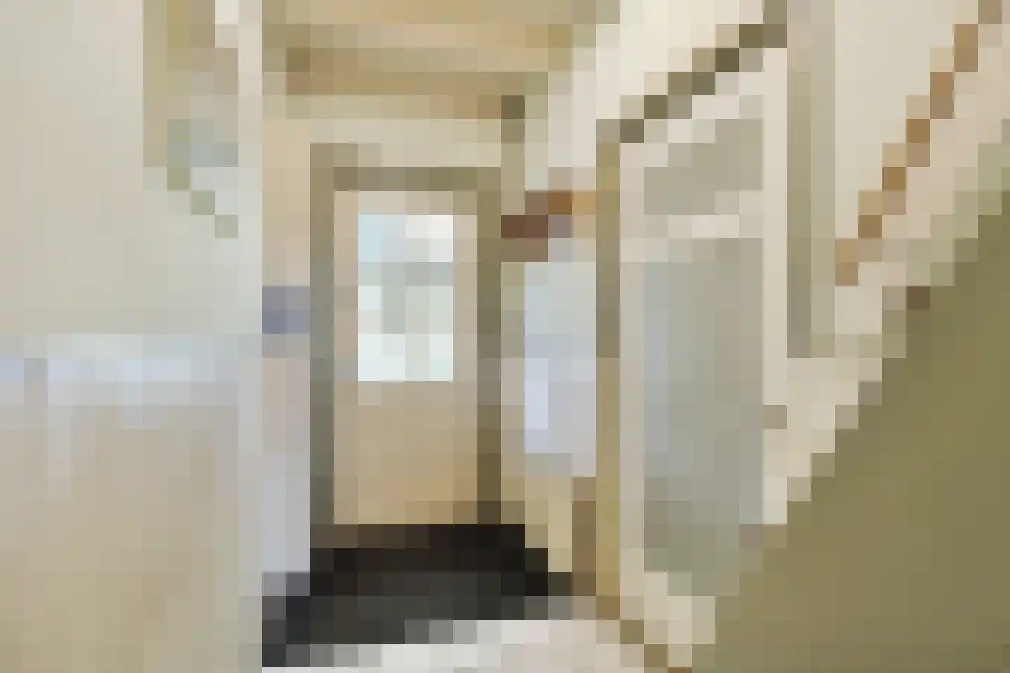 Lotweg 9 Anna Paulowna thumbnail 17
