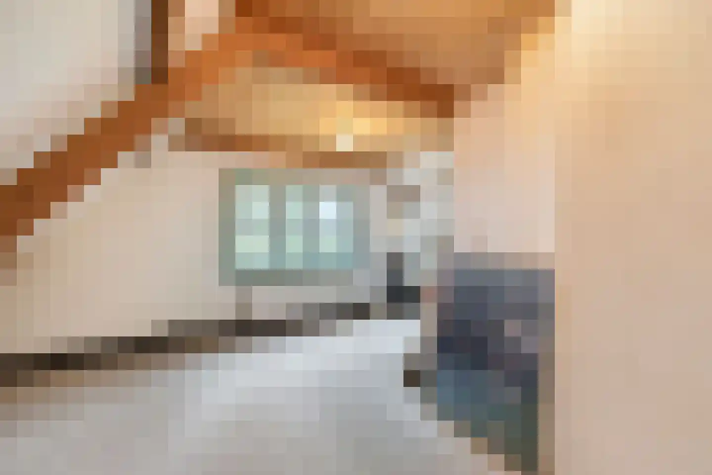 Lotweg 9 Anna Paulowna thumbnail 26
