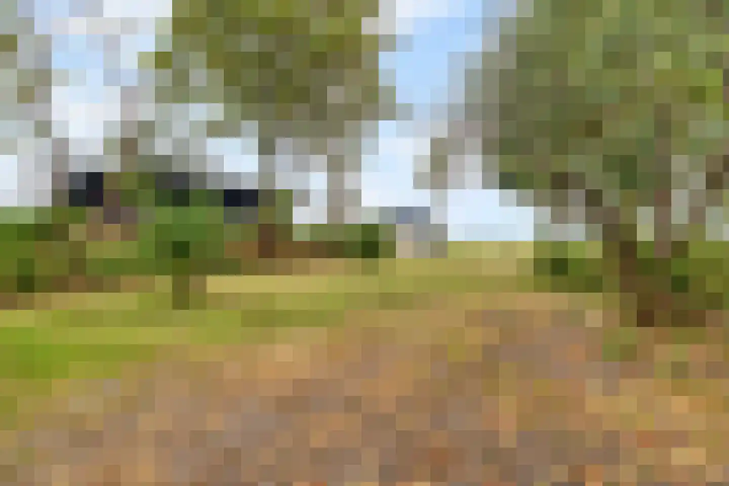 Lotweg 9 Anna Paulowna thumbnail 32