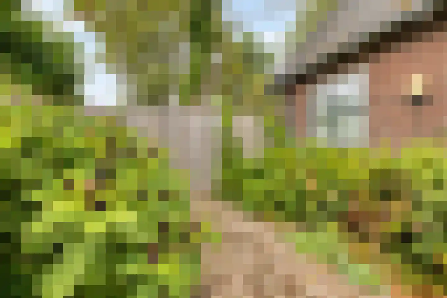 Lotweg 9 Anna Paulowna thumbnail 36