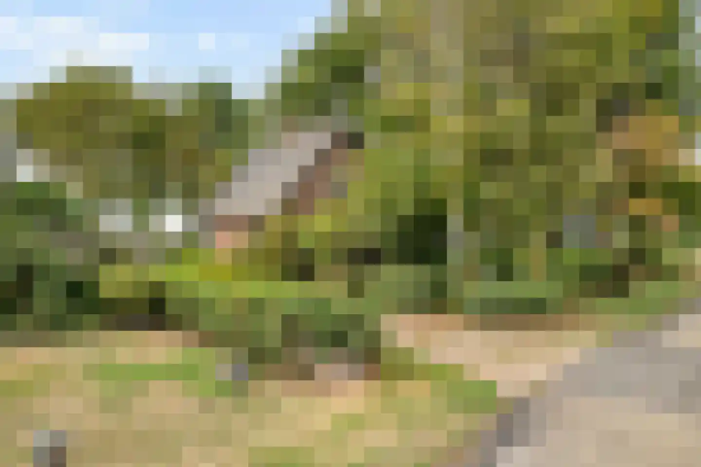 Lotweg 9 Anna Paulowna thumbnail 37