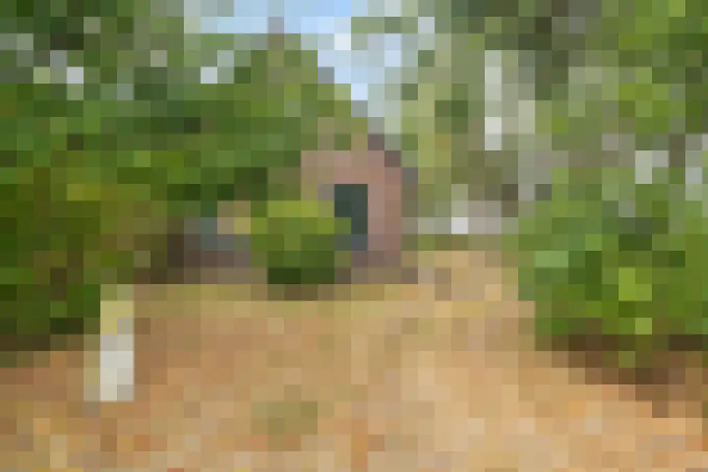 Lotweg 9 Anna Paulowna thumbnail 39