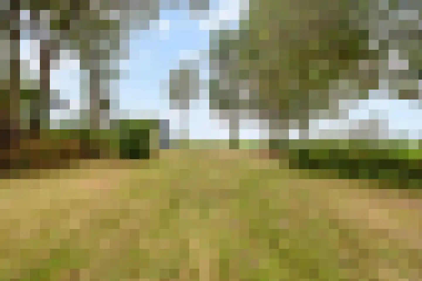 Lotweg 9 Anna Paulowna thumbnail 4