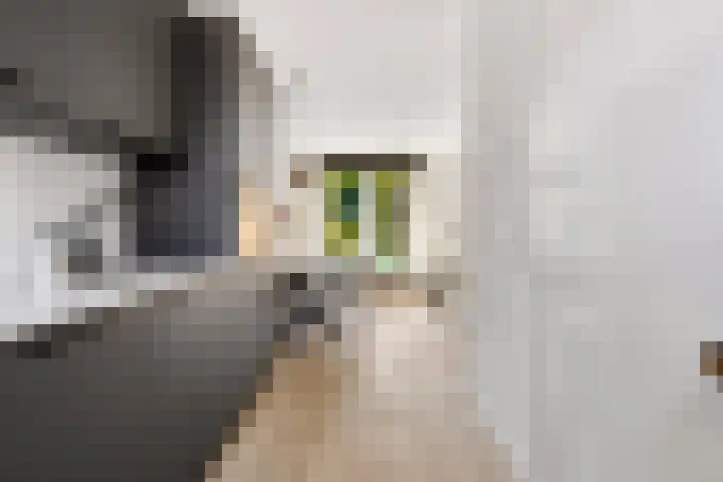 Lou Andreas-Saloméstraat 24 Almere thumbnail 17