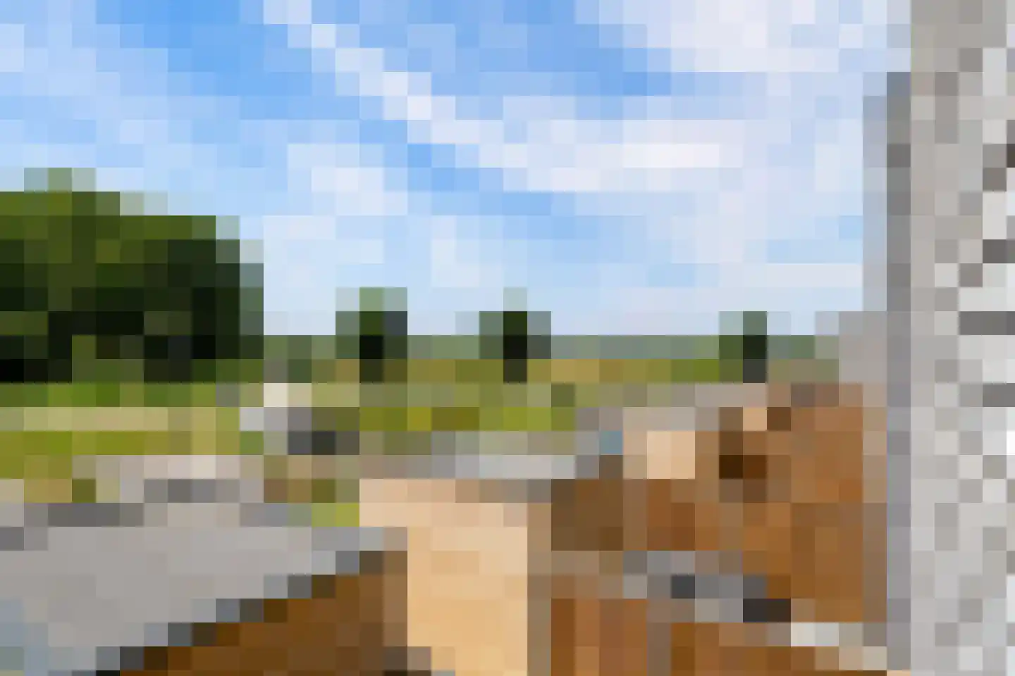 Lou Andreas-Saloméstraat 24 Almere thumbnail 33