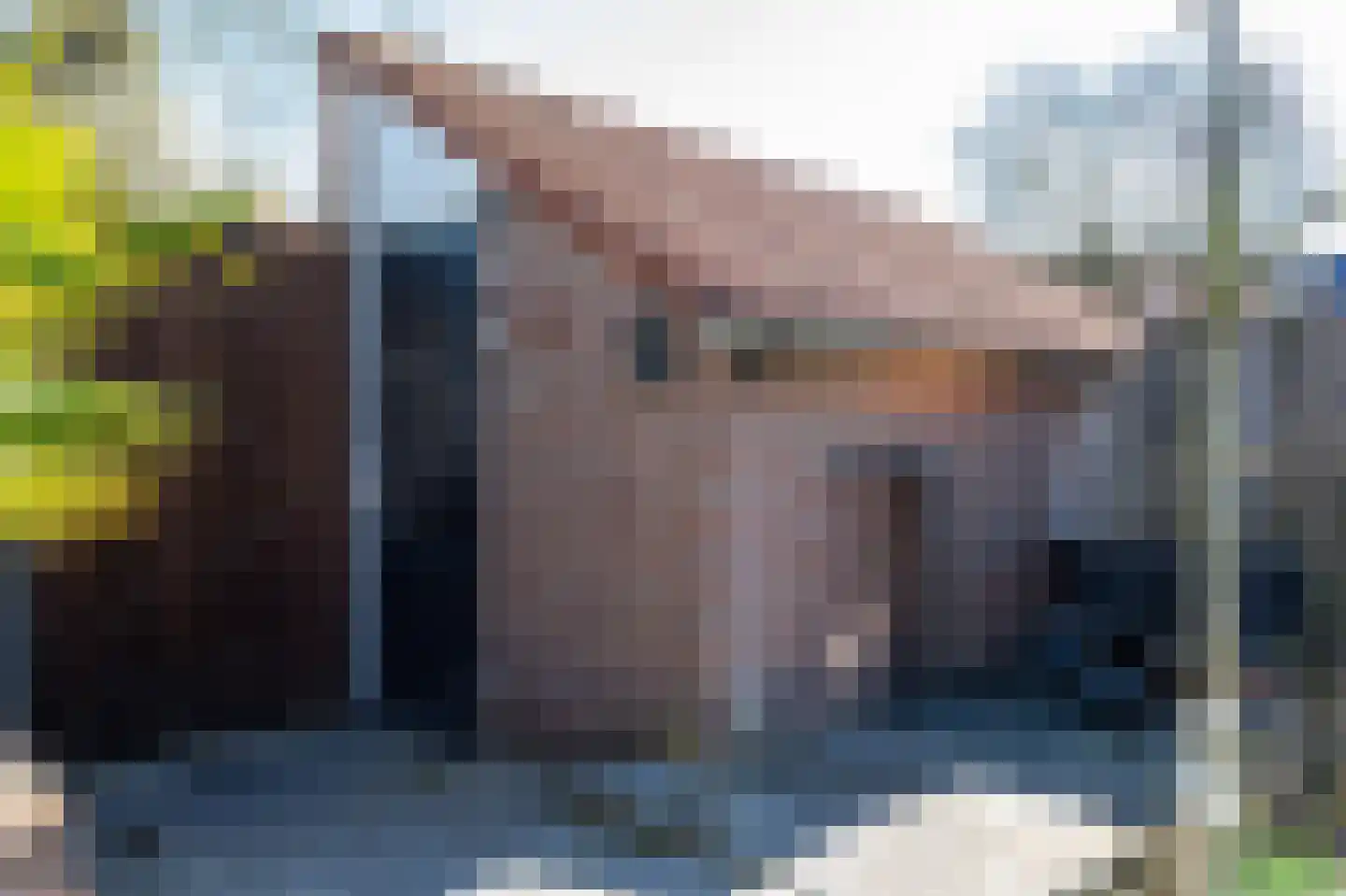 Lou Bandystraat 16 Hengelo thumbnail 29