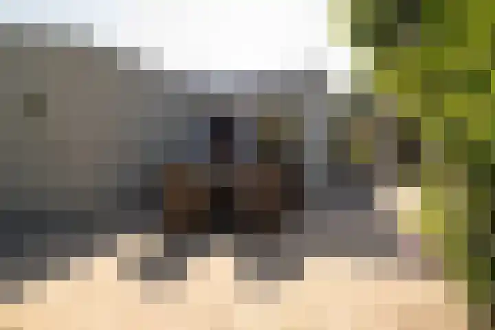 Lou Bandystraat 44 Hengelo thumbnail 20
