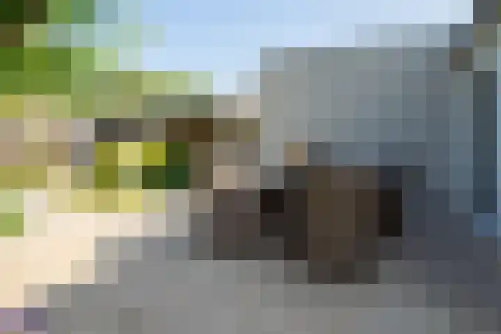Lou Bandystraat 44 Hengelo thumbnail 22