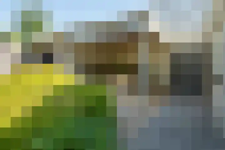 Lou Bandystraat 44 Hengelo thumbnail 26