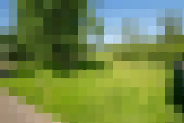 Lou Bandystraat 44 Hengelo thumbnail 32