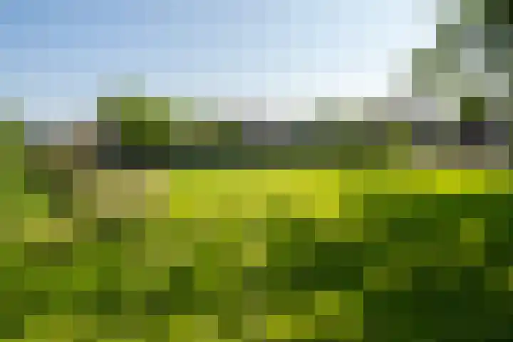 Lou Bandystraat 44 Hengelo thumbnail 33