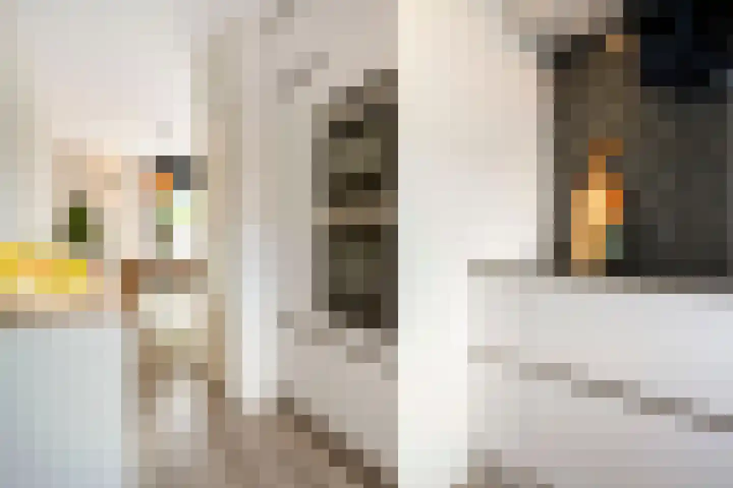 Lou Bandystraat 47 Arnhem thumbnail 9